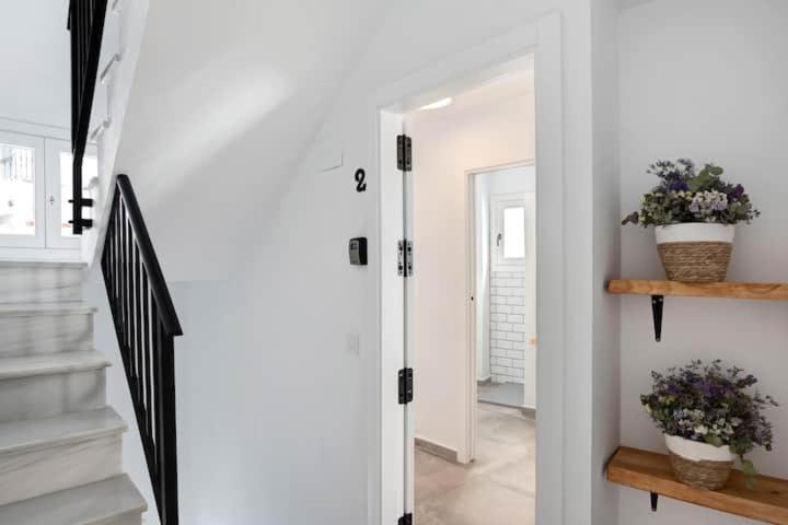Apartamentos Vexer ベヘール・デ・ラ・フロンテーラ エクステリア 写真